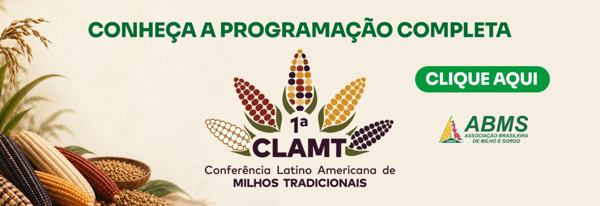 Banner programação Conferência