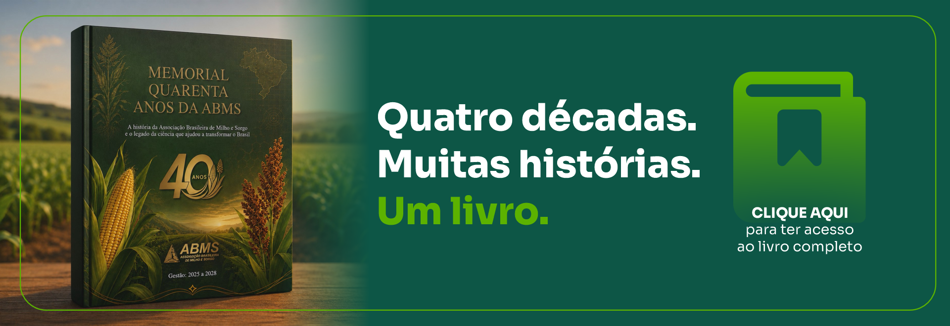 Livro ABMS 40 anos