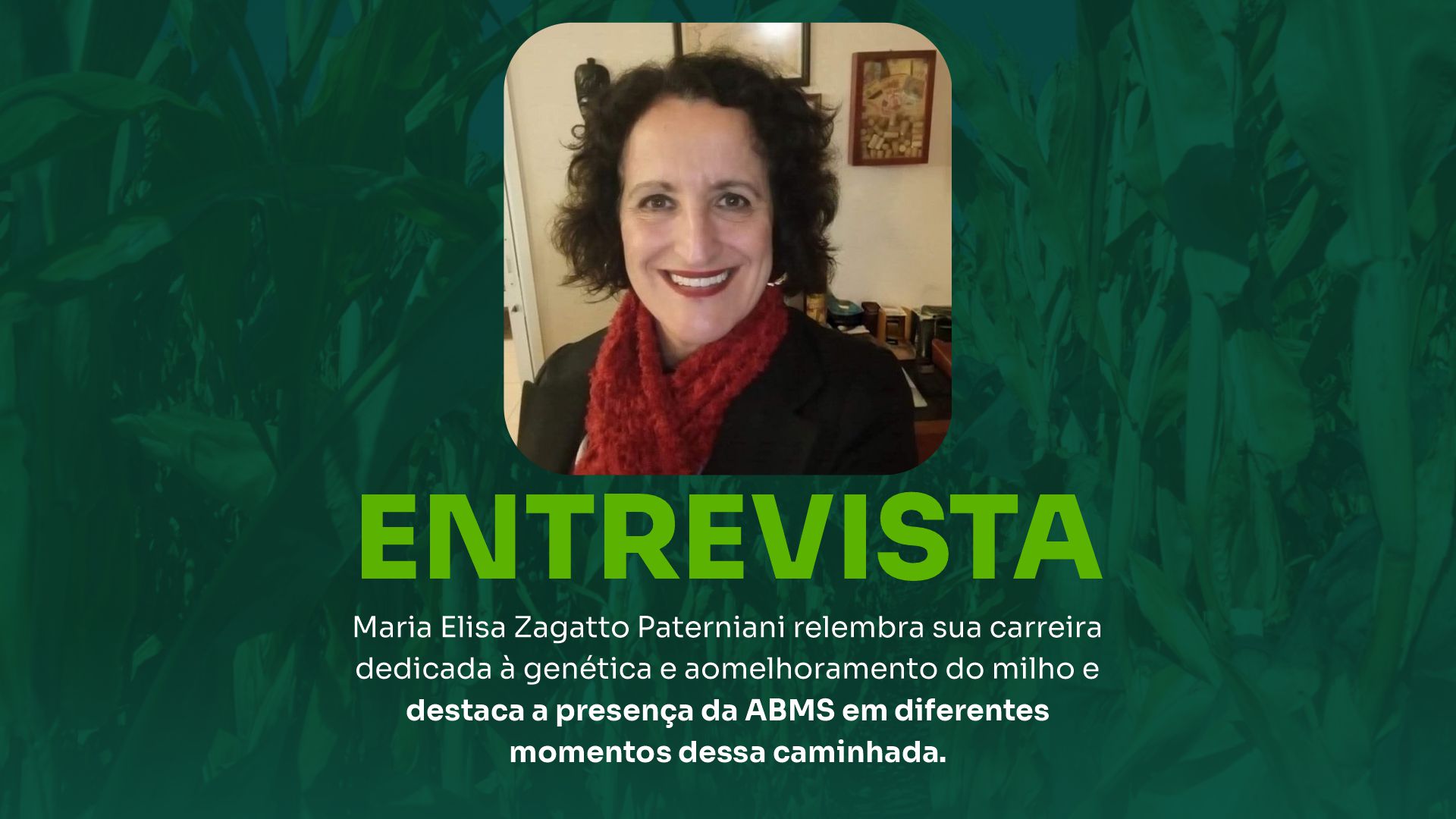 Maria Elisa Paterniani destaca papel da ABMS em sua trajetória dedicada à ciência do milho